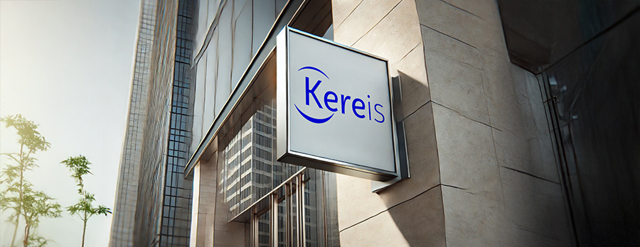 kereis assurance emprunteur