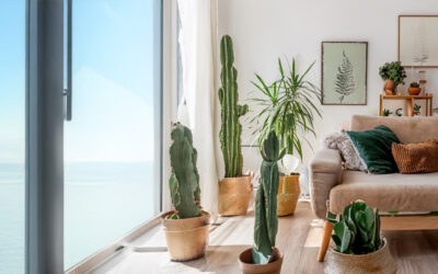 Les chiffres de l&rsquo;assurance prêt immobilier : cas concrets